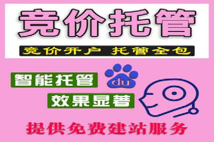 百度推广实战技巧：案例详解